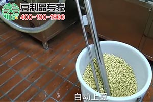 300型豆坊專用豆腐機(jī)工作現(xiàn)場